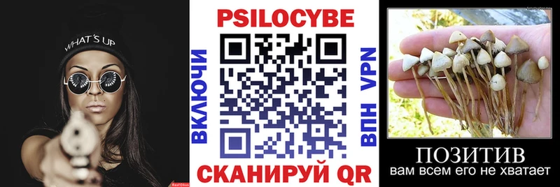 Псилоцибиновые грибы Psilocybe  Железноводск 